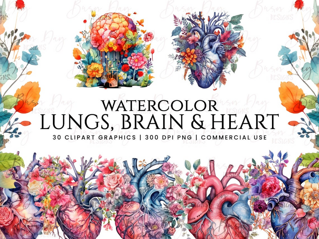 Geschenk: Anatomie - Aquarell Clipart - Wasserfarben