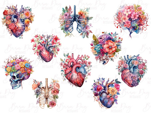 Geschenk: Anatomie - Aquarell Clipart - Wasserfarben