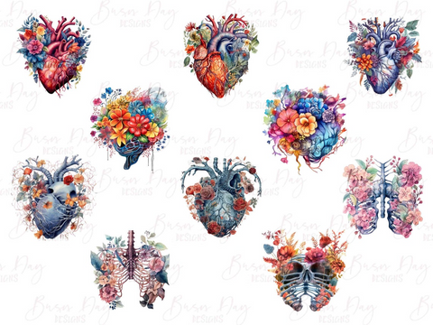 Geschenk: Anatomie - Aquarell Clipart - Wasserfarben