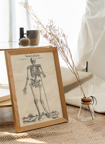 Geschenk: Antike Anatomie Bundle - Vesalius