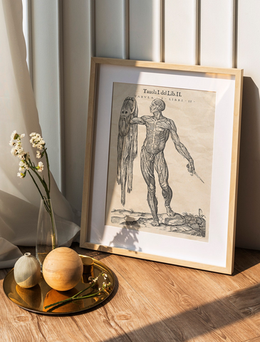 Geschenk: Antike Anatomie Bundle - Vesalius